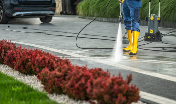 Boat and Dock Cleaning in Stem, NC